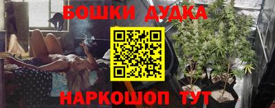 молекула духа Шахты