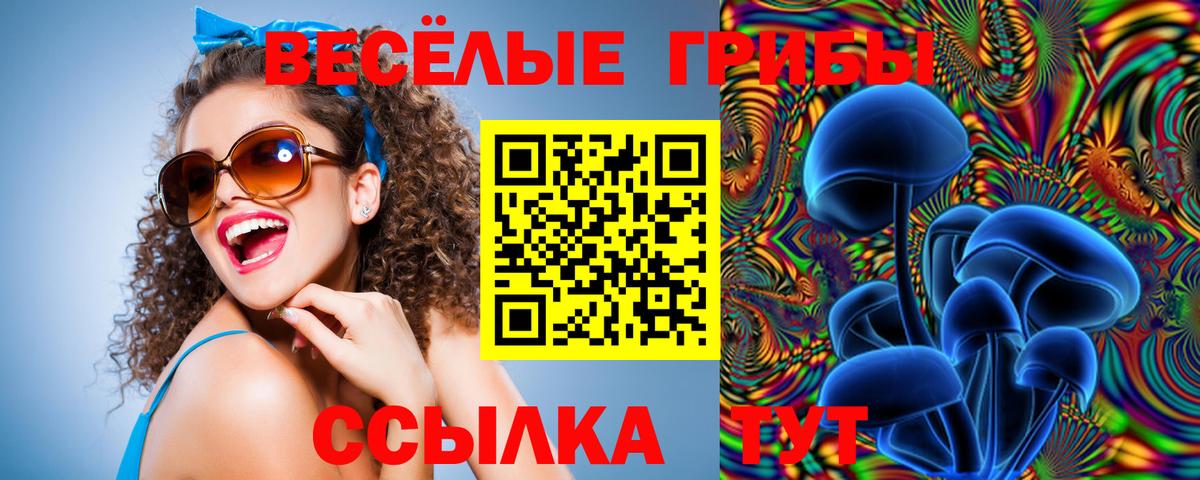 Галлюциногенные грибы GOLDEN TEACHER Алексеевка